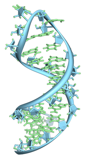 Tertiary Structure