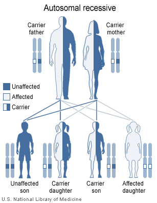 Recessive gene in autosome