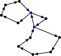 Directed Cycle