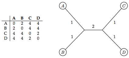 Distance-Based Phylogeny