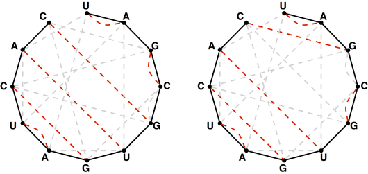 Noncrossing Perfect Matching