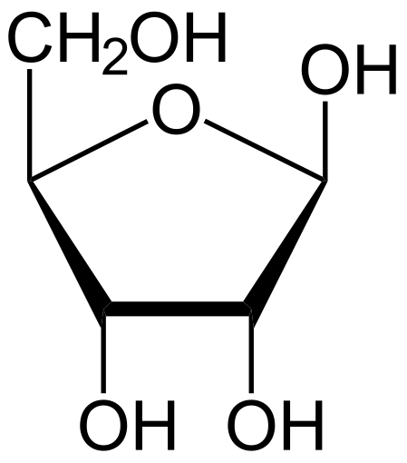 Ribose