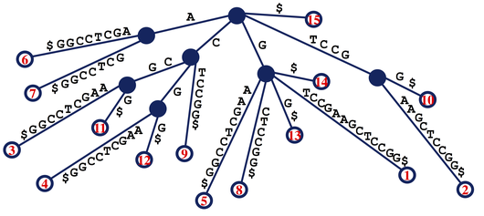 Suffix Tree