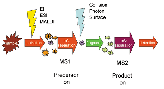 Tandem Mass Spectrometry