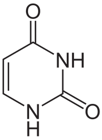 Uracil